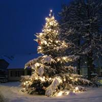 Weihnachtszeit in Kleinwallstadt- Baum am Roten Kreuz