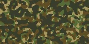 Bundeswehrübung.jpg (2)
