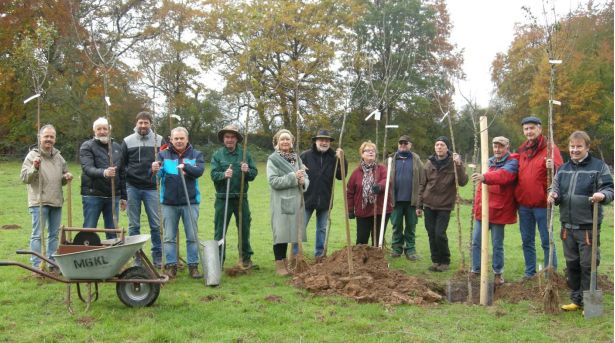Streuobstpflanzung.jpg