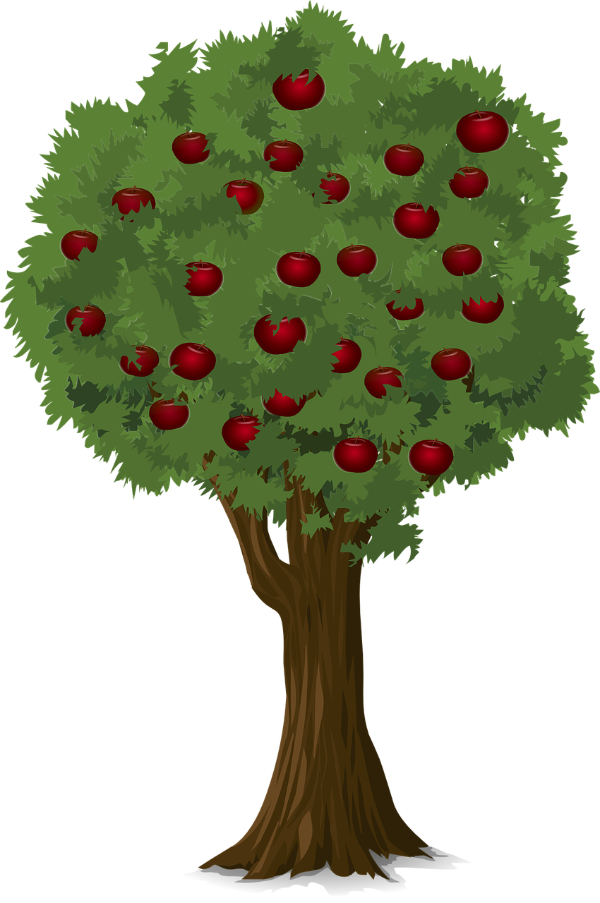tree-923776_1280.png