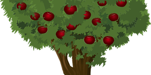 tree-923776_1280.png