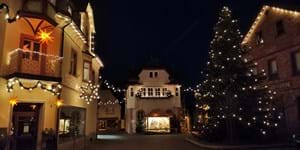IMG_20211210_070404.jpg