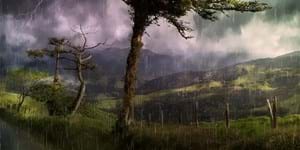 landscape-g463bc5e16_1920.jpg