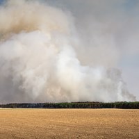 Waldbrandgefahr.jpg
