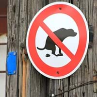 Hundekot.jpg