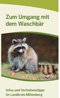 Hier gehts zum Flyer...